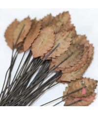 Small Rose Leaves - Brown