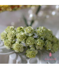 Micro Mini Roses - Lime Green