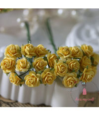 Micro Mini Roses - Yellow