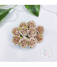 Micro Mini Roses - Sand