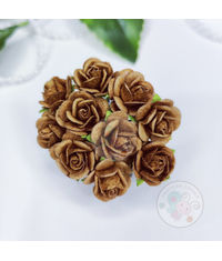 Micro Mini Roses - Peanut