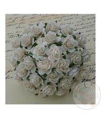 Micro Roses - Ivory