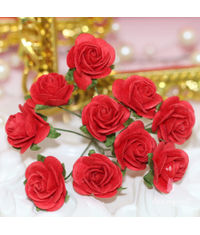 Micro Roses - Red