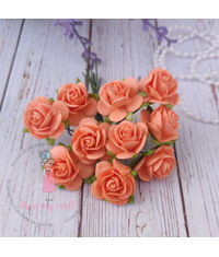 Micro Roses - Tropical Peach