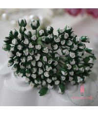 Micro Mini Rose Buds - Ivory