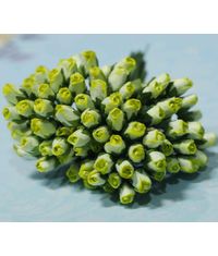 Micro Rose Buds 10 MM - Light Green