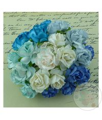 Wild Rose Combo - Blue/Aqua/White