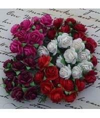 RED TONE WHITE AND FUSCIA PINK - Micro Roses Combo