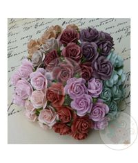 Vintage Micro Roses Combo