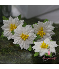 Poinsettia Flower Small - White