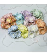 Pastel Poppy Mixed Pack