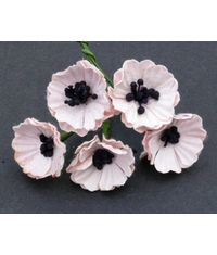 Poppy Flower with Pollens - Pale Pink