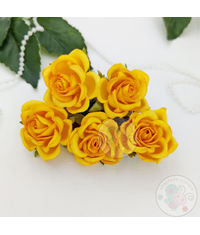 Curved Roses 35 MM - Bright Yellow