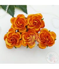 Curved Roses 35 MM - Bright Orange