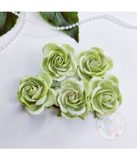 Curved Roses 35 MM - Mint Green