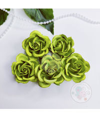 Curved Roses 35 MM - Pear Green