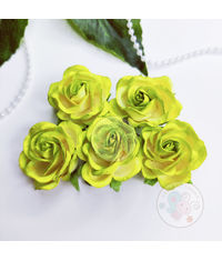Curved Roses 35 MM - Lime Green
