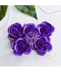 Curved Roses 35 MM - Violet