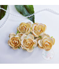 Curved Roses 35 MM - Light Peach