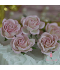 Curved Roses 35 MM - Soft Pink Combo