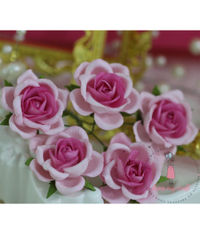 Curved Roses 35 MM - Bright Pink Combo