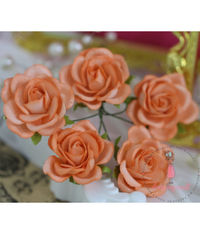 Curved Roses 35 MM - Soft Orange