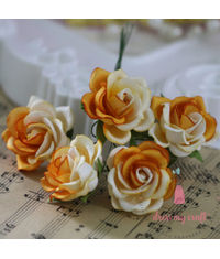 Curved Roses 35 MM - Orange Combo