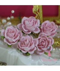 Curved Roses 35 MM -  Baby Pink