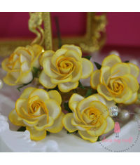 Curved Roses 35 MM - Yellow