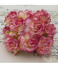 Curly Roses - Champange Pink Tone