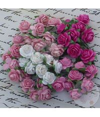 Pink Tone - Micro Roses Combo