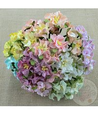 MINI GARDENIA FLOWERS - MIXED COLOUR MINIATURE