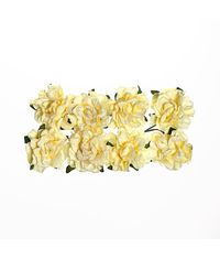 Cream White - Paper Flowers Clove