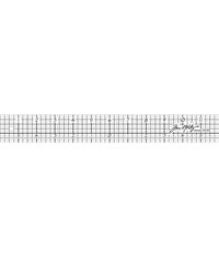 Idea-Ology Design Ruler 12"