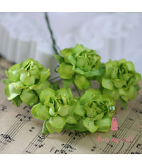 Twisted Roses - Soothing Green