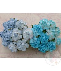 Twisted Roses Combo - Blue Tone