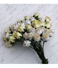 White/Cream Tone - Twisted Rose Buds Combo