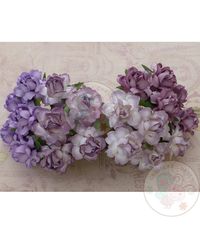 Twisted Roses Combo - Purple/Lilac Tone