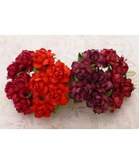 Twisted Roses Combo - Red Tone