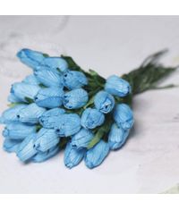 Blue-Tulip Buds