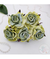 Embossed Roses - Sage Green