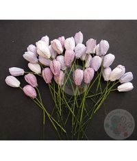 Purple/Lilac Tone - Tulip Buds Combo