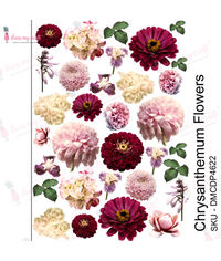 Chrysanthemum Flowers - Transfer Me