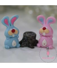 Miniature Bunny