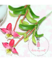 Orchid Bunch - Pinkish White