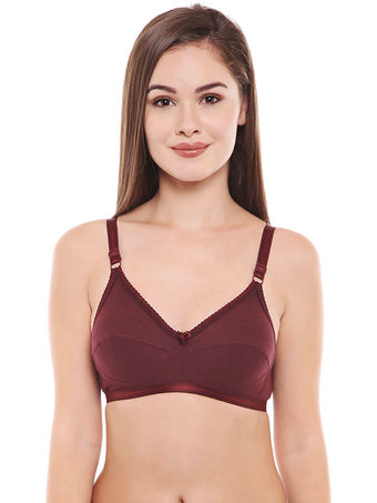BODYCARE 1517PINK Perfect Full Coverage Seamed Bra (44B, Pink) in Lucknow  at best price by Blue Nixie (Opc) Pvt. Ltd. - Justdial