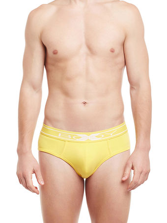 BODY X Mens Cotton Solid Briefs-BX32BORG