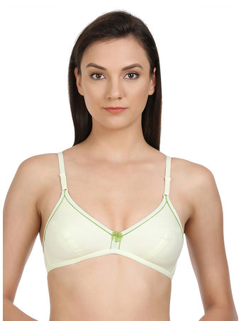 Perfect Coverage Bra-5548GR