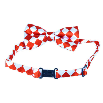 Tiekart kids red polka dot bow tie