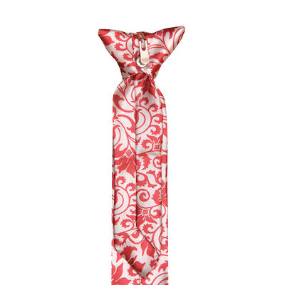 Red and White Paisley Pre-Tied Tie with Hook On the Knot for Boys